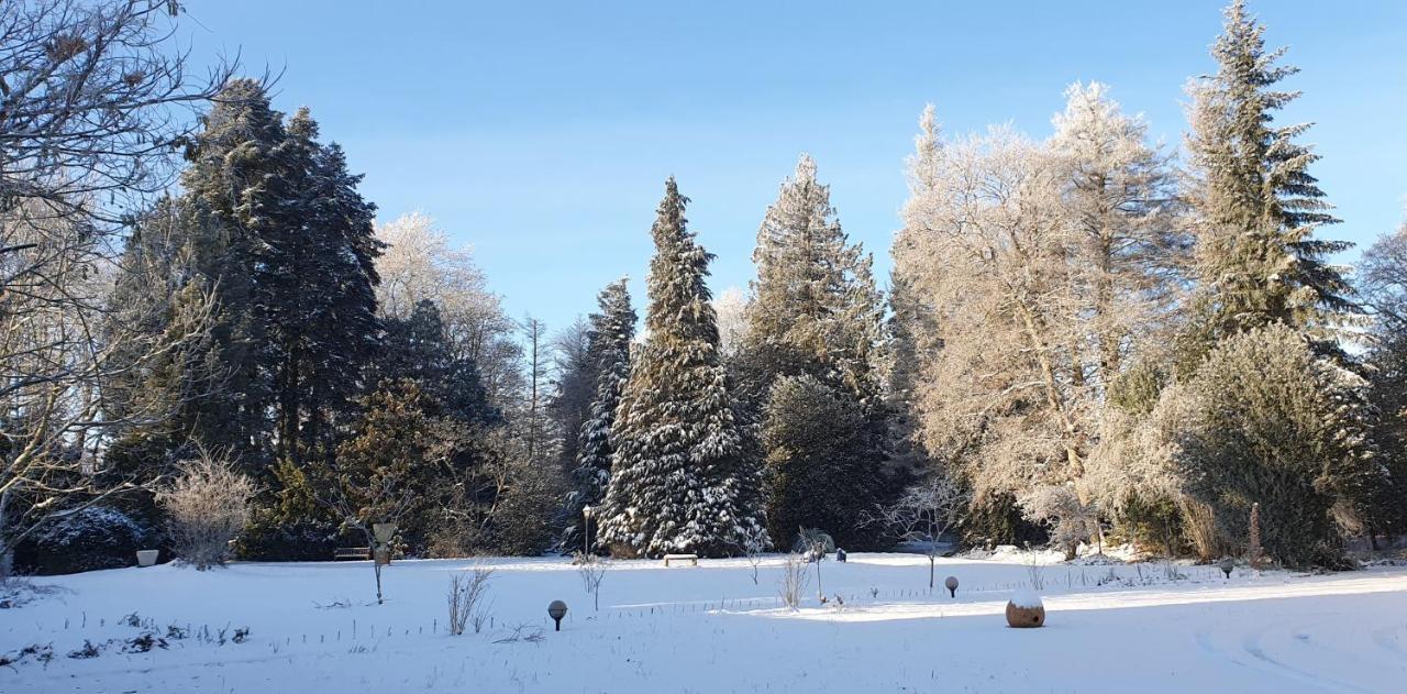 Maisonmazerand Cirey-sur-Vezouze 외부 사진