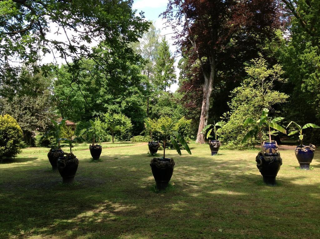 Maisonmazerand Cirey-sur-Vezouze 외부 사진